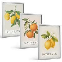 BILDER SET 3er Set - 40x60 cm Silberner Rahmen - Amalfi-Zitronen und -Orangen - Silberfarben, Kunststoff (40/60cm) - TULUP