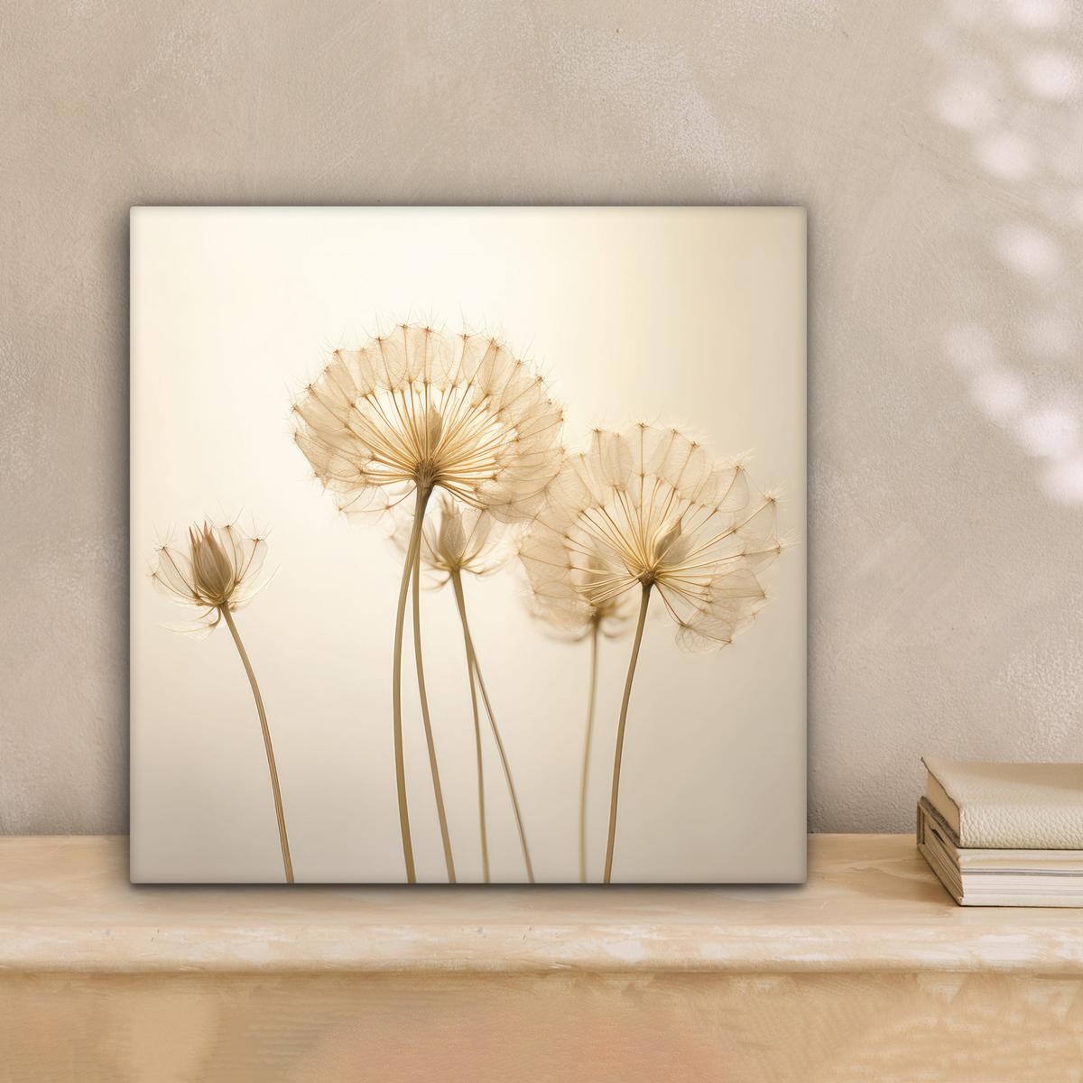 LEINWANDBILD Sonnenlicht - Löwenzahn - Botanisch - Blumen Deko Wohnzimmer 20x20 cm - Creme, Textil (20/20cm) - MuchoWow