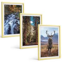 BILDER SET 3er Set - 40x60 cm Goldrahmen - Wasserfall Wald Berge Hirsch Natur - Goldfarben, Kunststoff (40/60cm) - TULUP