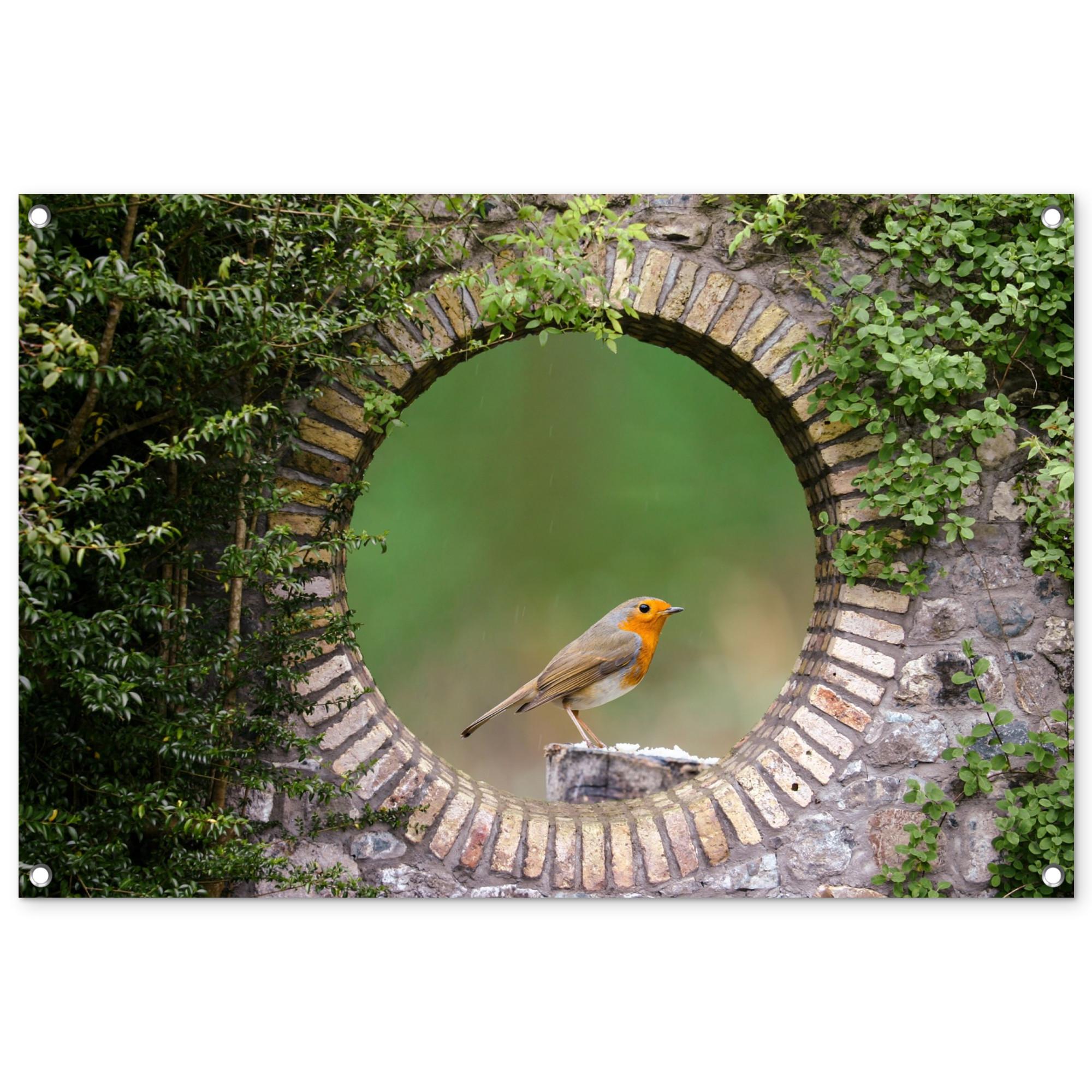 GARTENPOSTER Vogel - Durchblick - Rotkehlchen Gartendeko 90x60 cm - Grün, Kunststoff (90/60/0.2cm) - OnlyWow