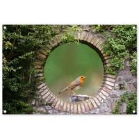 GARTENPOSTER Vogel - Durchblick - Rotkehlchen Gartendeko 90x60 cm - Grün, Kunststoff (90/60/0.2cm) - OnlyWow