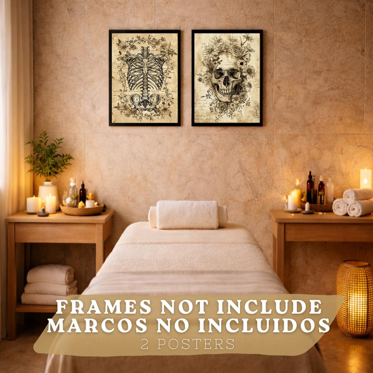 POSTER Set aus 2 Anatomie Mensch Drucke und Wandbilder mit Schädel Wirbelsäule Rippen Becken Klassisches Vintage Design Größe Rahmenlos A3 - Klar, Papier (29.7/42/3cm) - Nacnic