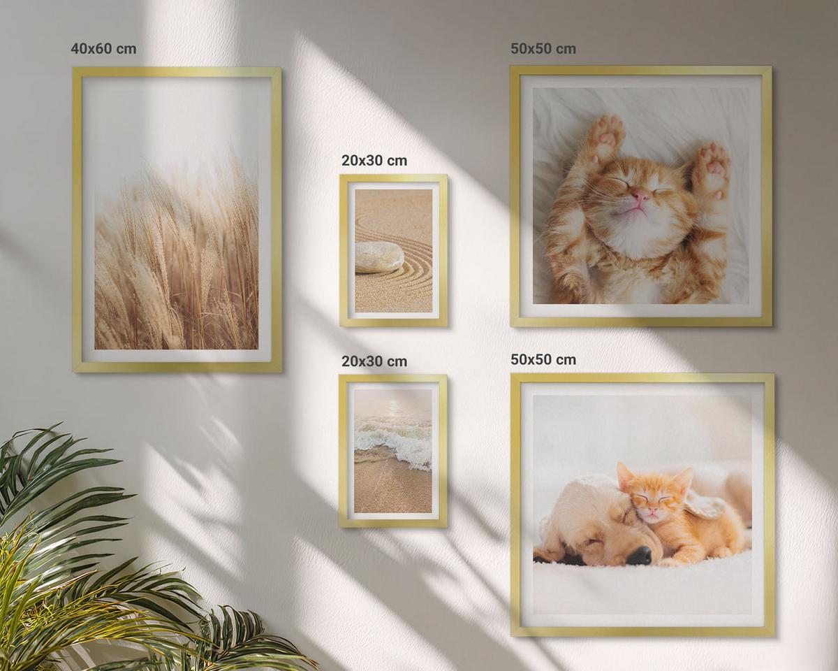 BILDER SET 5er Set - 50x50 cm & 20x30 cm & 40x60 cm Goldrahmen - Niedliche Tiere, Katzen, Hunde, Strand - Goldfarben, Kunststoff (40/60cm) - TULUP
