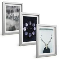 BILDER SET 3er Set - 20x30 cm Silberner Rahmen - Waldlandschaft, Nebel, Mond, Hirschschädel - Silberfarben, Kunststoff (20/30cm) - TULUP