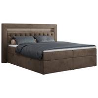 BOXBETT GOLD-6 LED 120/200 Braun Velvet - H4 - Braun, Holz/Textil (120/200cm) - MKS