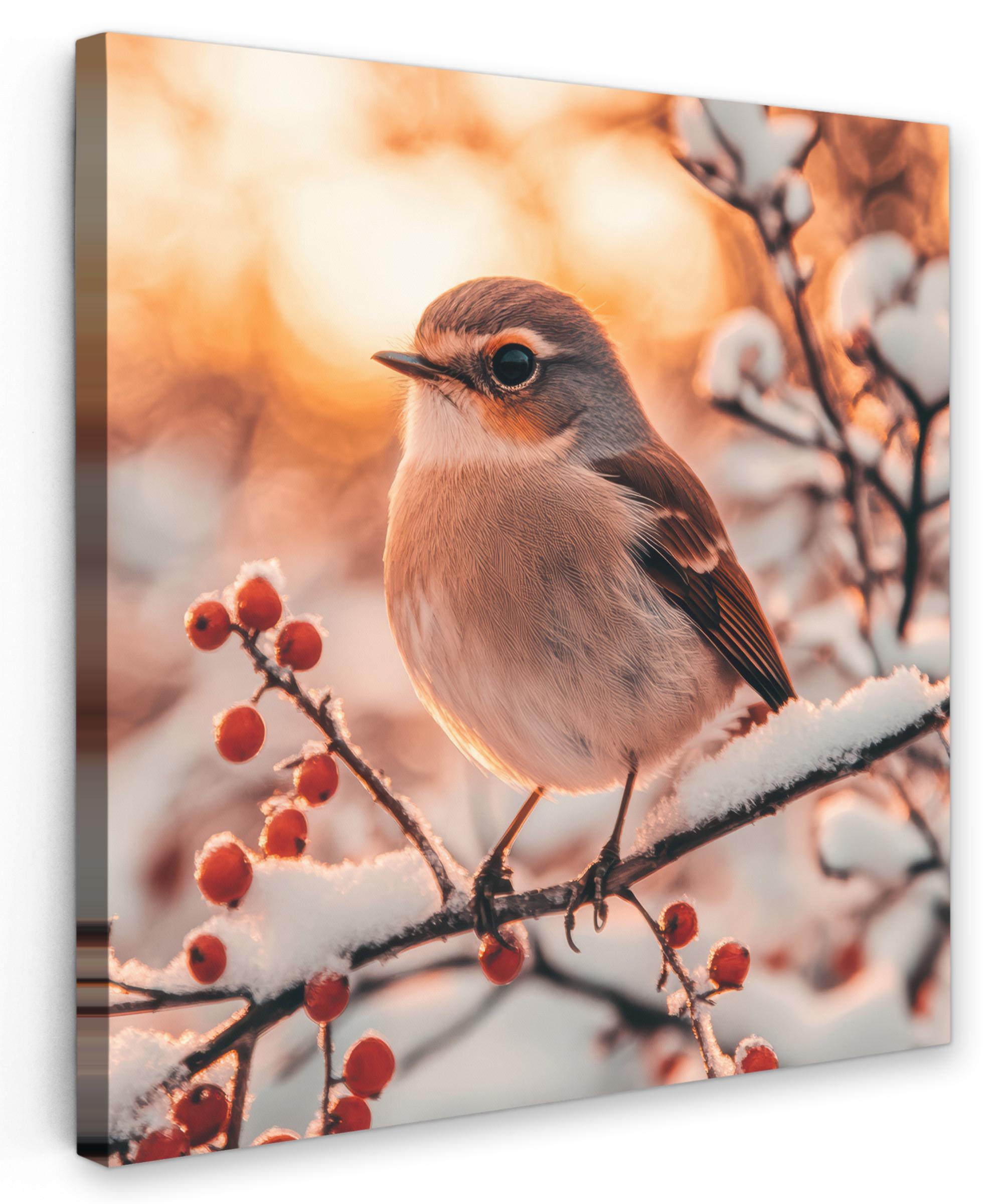 LEINWANDBILD Vogel - Zweig - Winter - Tiere - Schnee Wandbild Wohnzimmer 50x50 cm - Bernsteinfarben, Textil (50/50cm) - MuchoWow