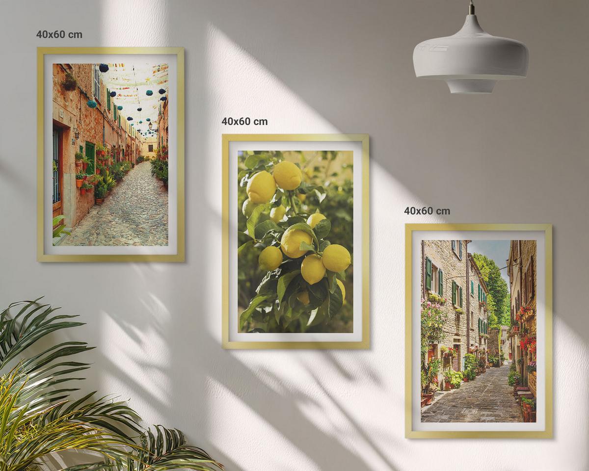 BILDER SET 3er Set - 40x60 cm Goldrahmen - Straßen mit Zitronenblüten im Hintergrund - Goldfarben, Kunststoff (40/60cm) - TULUP