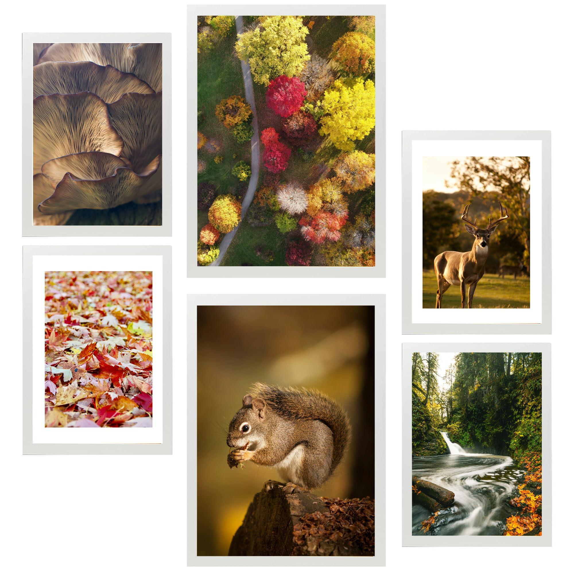 POSTER Set Mit 6 Kanadischer Herbst Rot Gelb & Braun A3 & A4 Weißer Rahmen - Weiß, Papier (29/3cm) - Nacnic