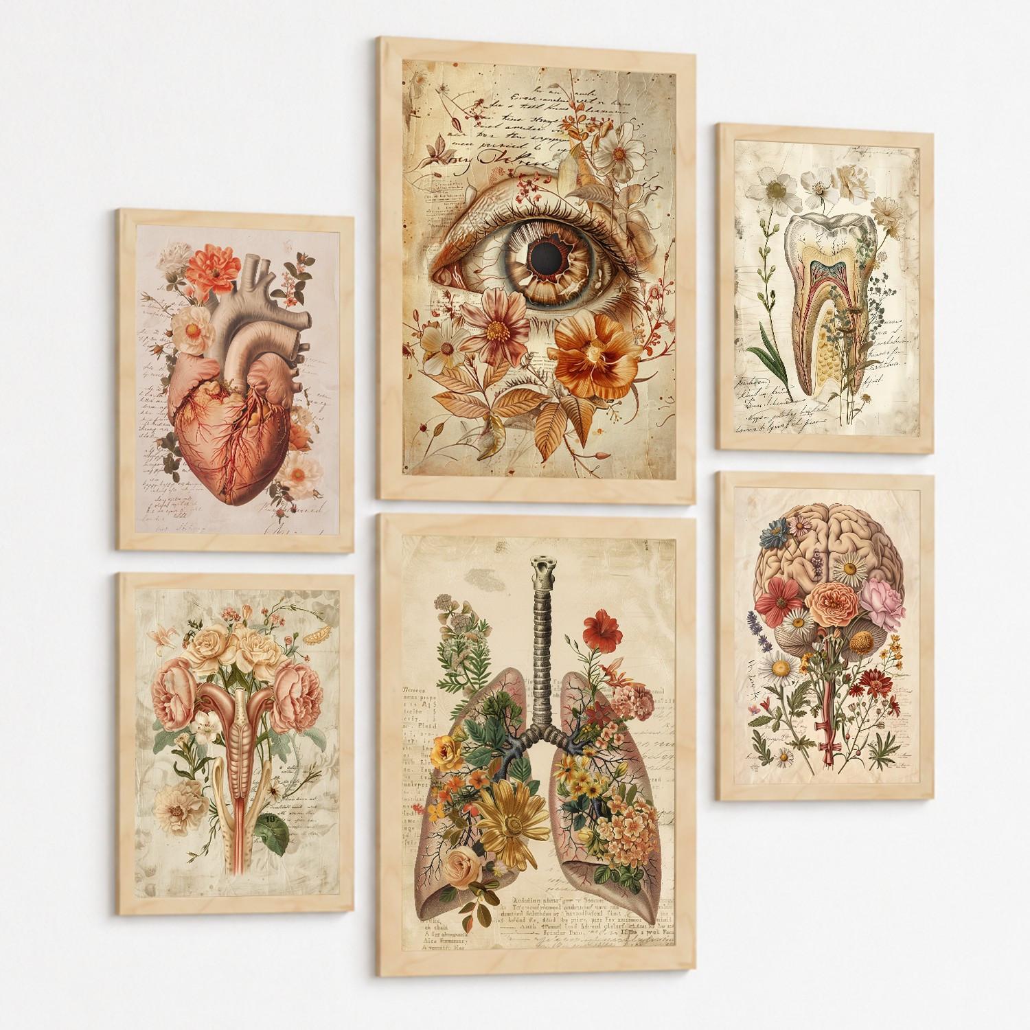 POSTER Kollektion aus 6 Anatomie Drucke und mit Herz Schädel Lungen Nieren und Gehirn Pergament Hintergrund dekoration Leichter Holzrahmen A3 & A4 - Beige, Papier (29.7/42/3cm) - Nacnic