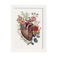 POSTER Anatomie Herz A4 Weißer Rahmen - Weiß, Papier (29.7/5/21cm) - Nacnic