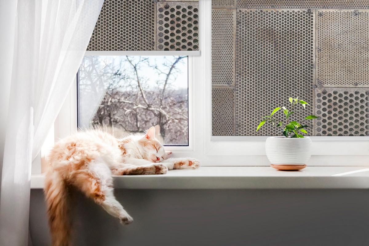 INNENROLLO - Fensterrollo - Rollo - 90x140 cm - Metallwand - Braun, Kunststoff (90/140/0.5cm) - TULUP