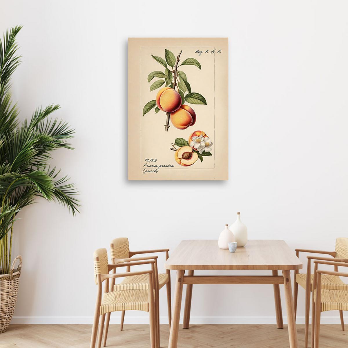 WANDBILD vintage obst pfirsich - Beige, Textil (40/60cm) - Feeby