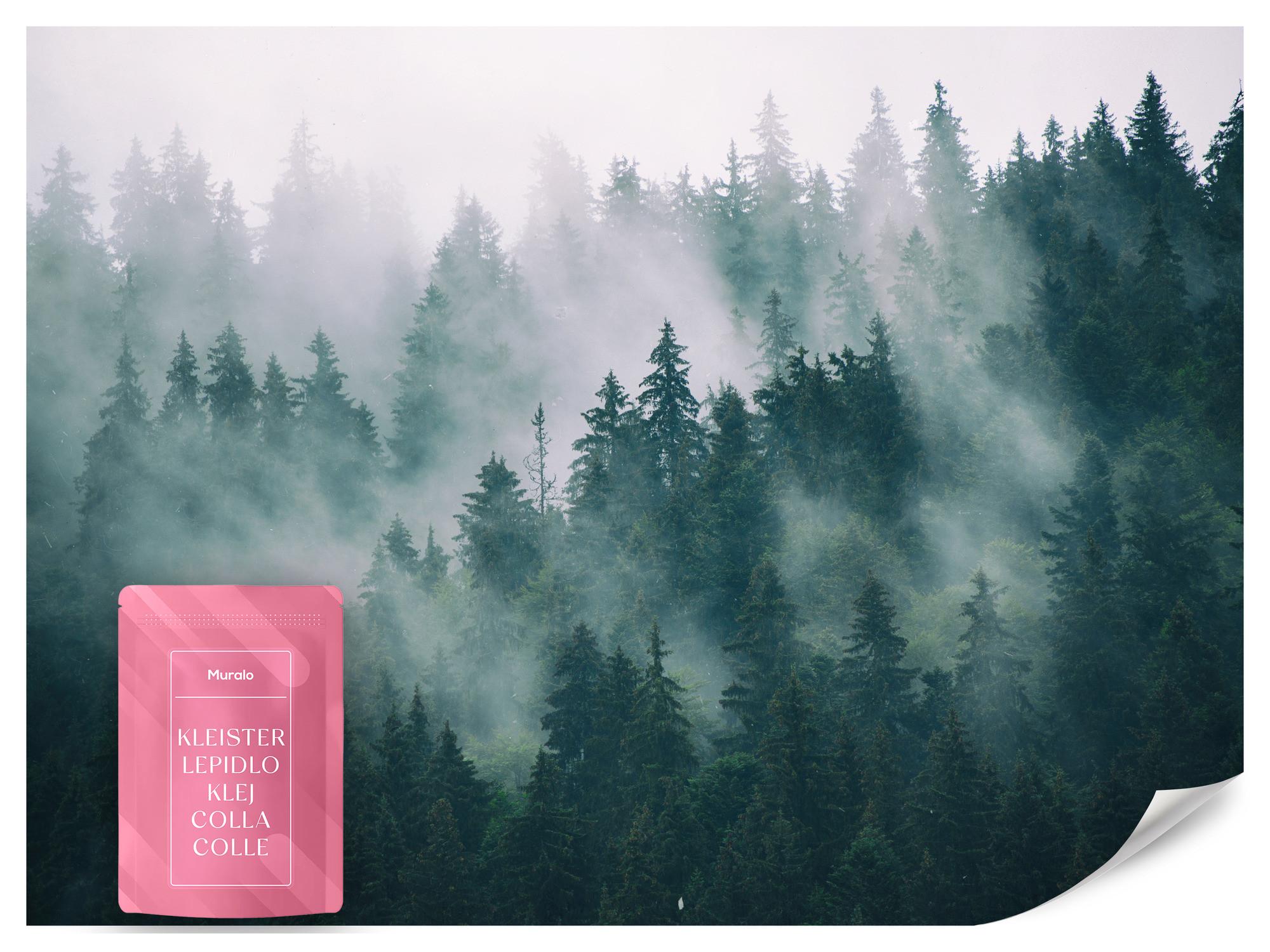 FOTOTAPETE Wald im Nebel Landschaft Natur 3D 400x280 - Türkis/Grau, Papier (400/280cm) - Muralo