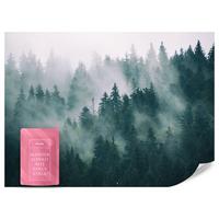 FOTOTAPETE Wald im Nebel Landschaft Natur 3D 400x280 - Türkis/Grau, Papier (400/280cm) - Muralo