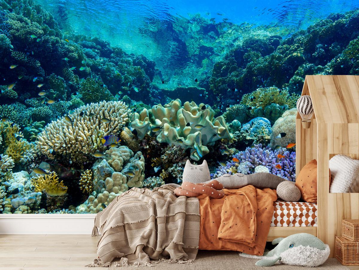 FOTOTAPETE Unterwasserwelt Korallenriff Bunte Fische Meer Natur 300x210 - Türkis/Gelb, Papier (300/210cm) - Muralo