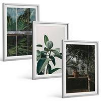 BILDER SET 3er Set - 40x60 cm Silberner Rahmen - Grüne Blätter an der Fensterpflanze - Silberfarben, Kunststoff (40/60cm) - TULUP