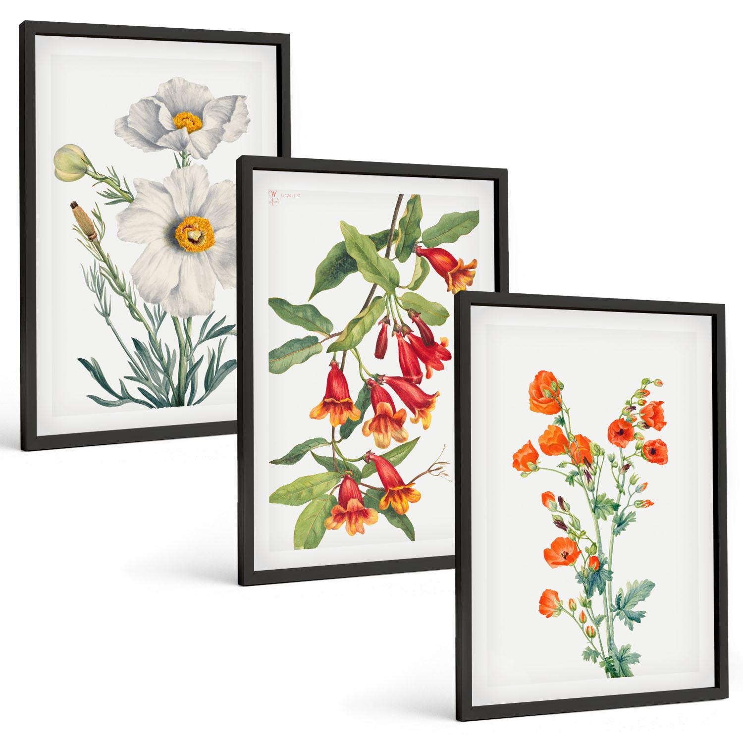 BILDER SET 3er Set - 40x60 cm Schwarzer Rahmen - Retro-Blumenarrangements - Schwarz, Kunststoff (40/60cm) - TULUP