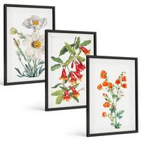 BILDER SET 3er Set - 40x60 cm Schwarzer Rahmen - Retro-Blumenarrangements - Schwarz, Kunststoff (40/60cm) - TULUP