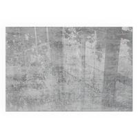 GLASPLATTE für Kamin 60x40 cm - Grau, Glas (60/40/0.4cm) - TULUP