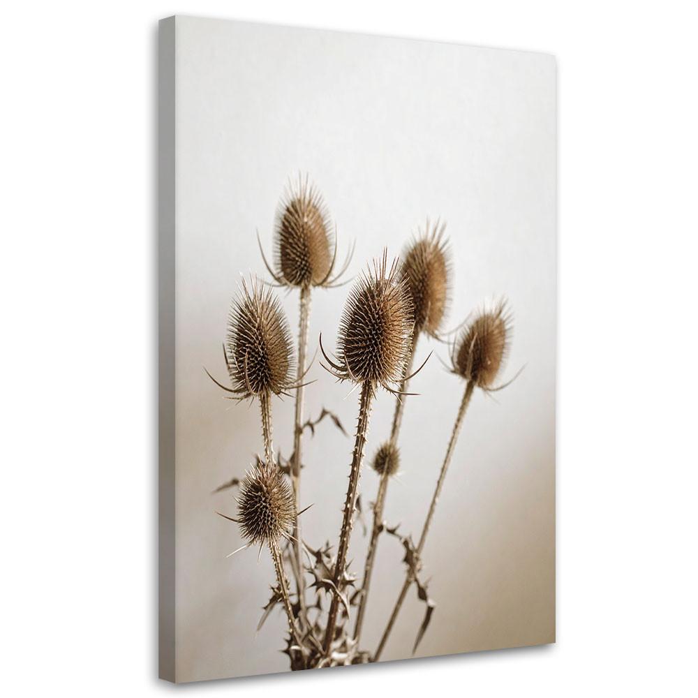 LEINWANDBILD Getrocknete Disteln Pflanzen in Beige 60x90cm - Beige, Textil (60/90cm) - Feeby