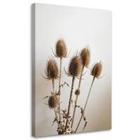 LEINWANDBILD Getrocknete Disteln Pflanzen in Beige 60x90cm - Beige, Textil (60/90cm) - Feeby