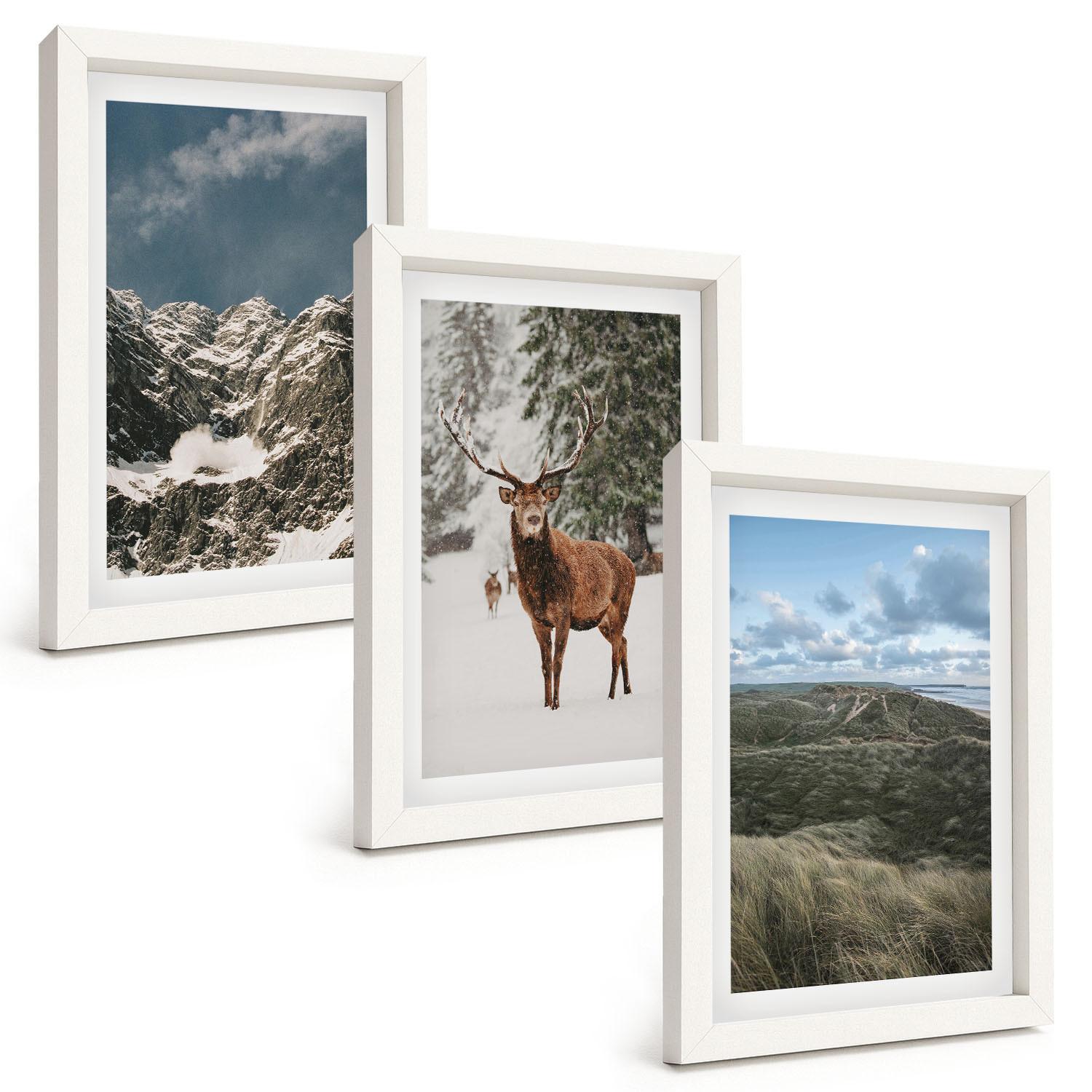 BILDER SET 3er Set - 20x30 cm Weißer Rahmen - Berge, Schnee, Hirsche, Waldlandschaft - Weiß, Kunststoff (20/30cm) - TULUP