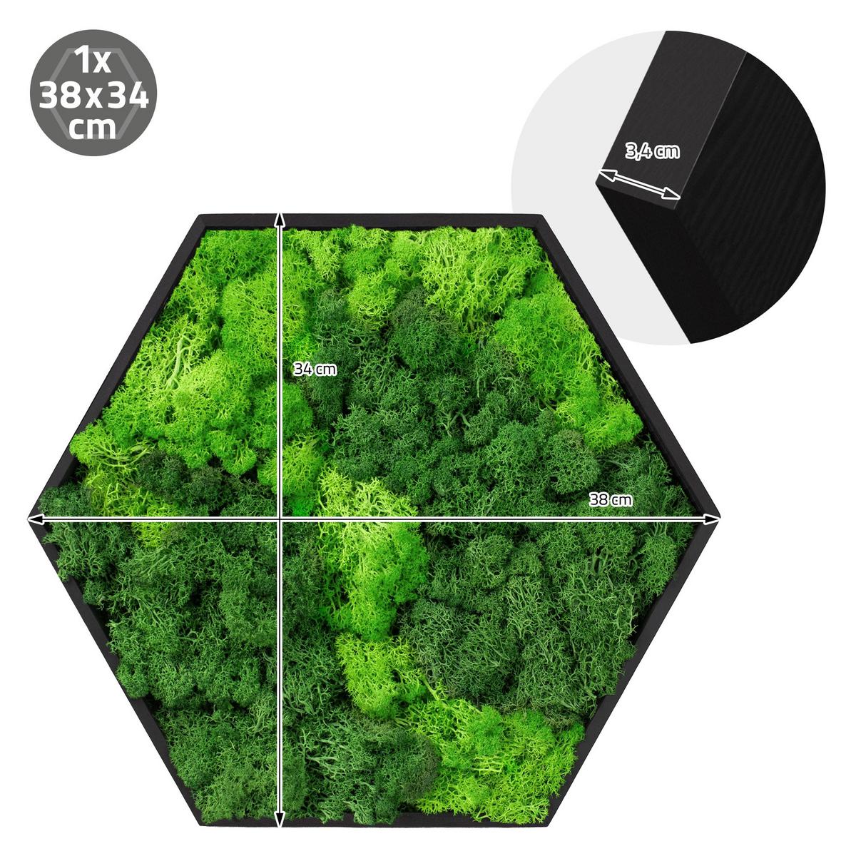 MOOSBILD Hexagon 38x34 cm Mooswand Indoor mit echtem Islandmoos und Holzrahmen Grün Pflegefrei - Hellgrün, Naturmaterialien (38/34/3.4cm) - ECD-Germany