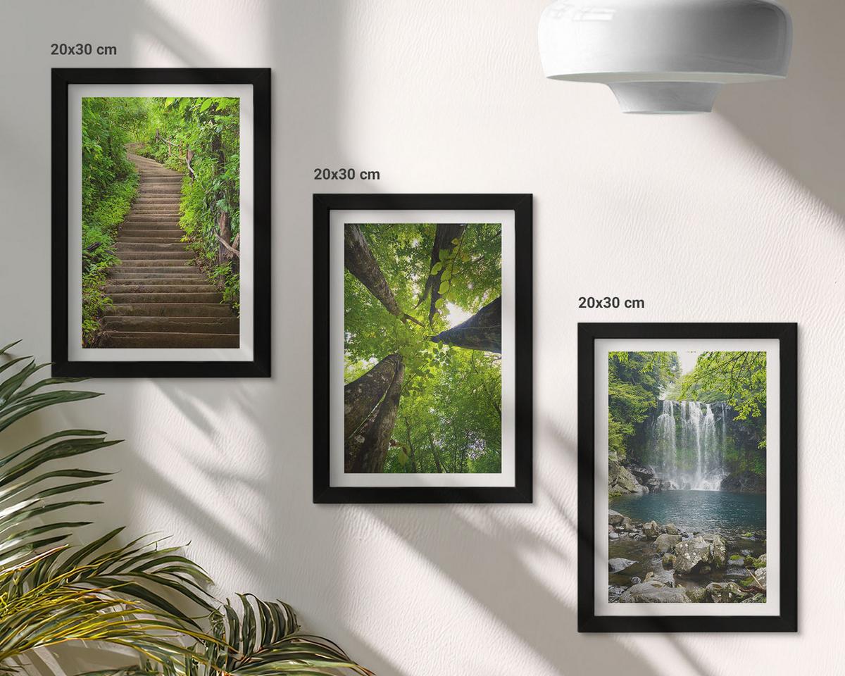 BILDER SET 3er Set - 20x30 cm Schwarzer Rahmen - Pfad Wald Wasserfall Vegetation - Schwarz, Kunststoff (20/30cm) - TULUP