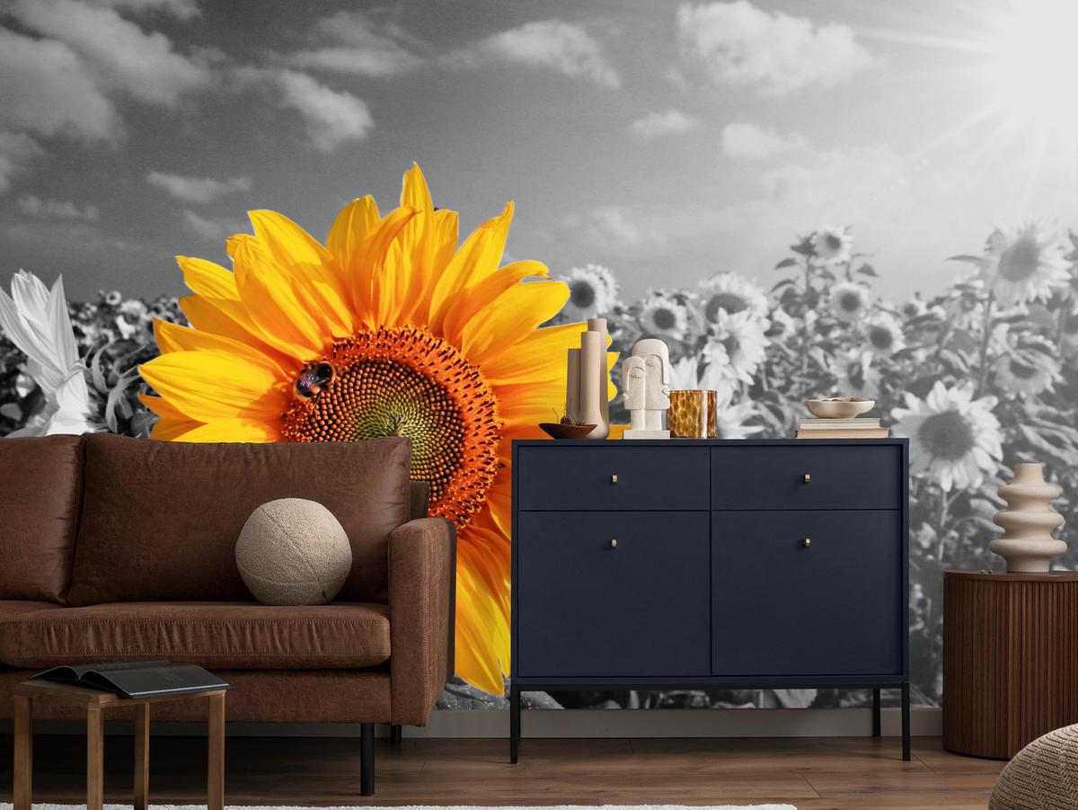 FOTOTAPETE für Küche Gelber Sonnenblume Schwarz-Weiß Hintergrund 450x315 - Gelb/Orange, Papier (450/315cm) - Muralo