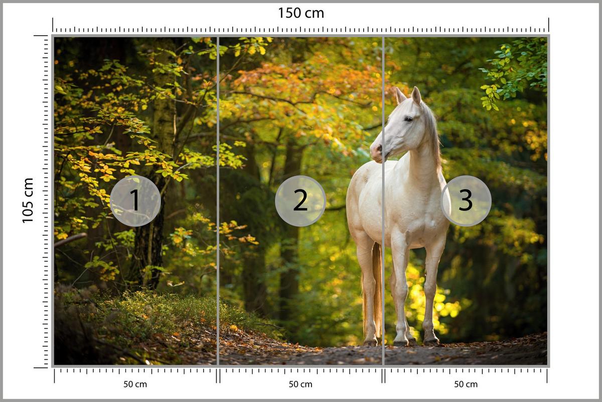 FOTOTAPETE für Schlafzimmer Weißes Pferd Wald Bäume Blätter 150x105 - Gelb/Beige, Papier (150/105cm) - Muralo
