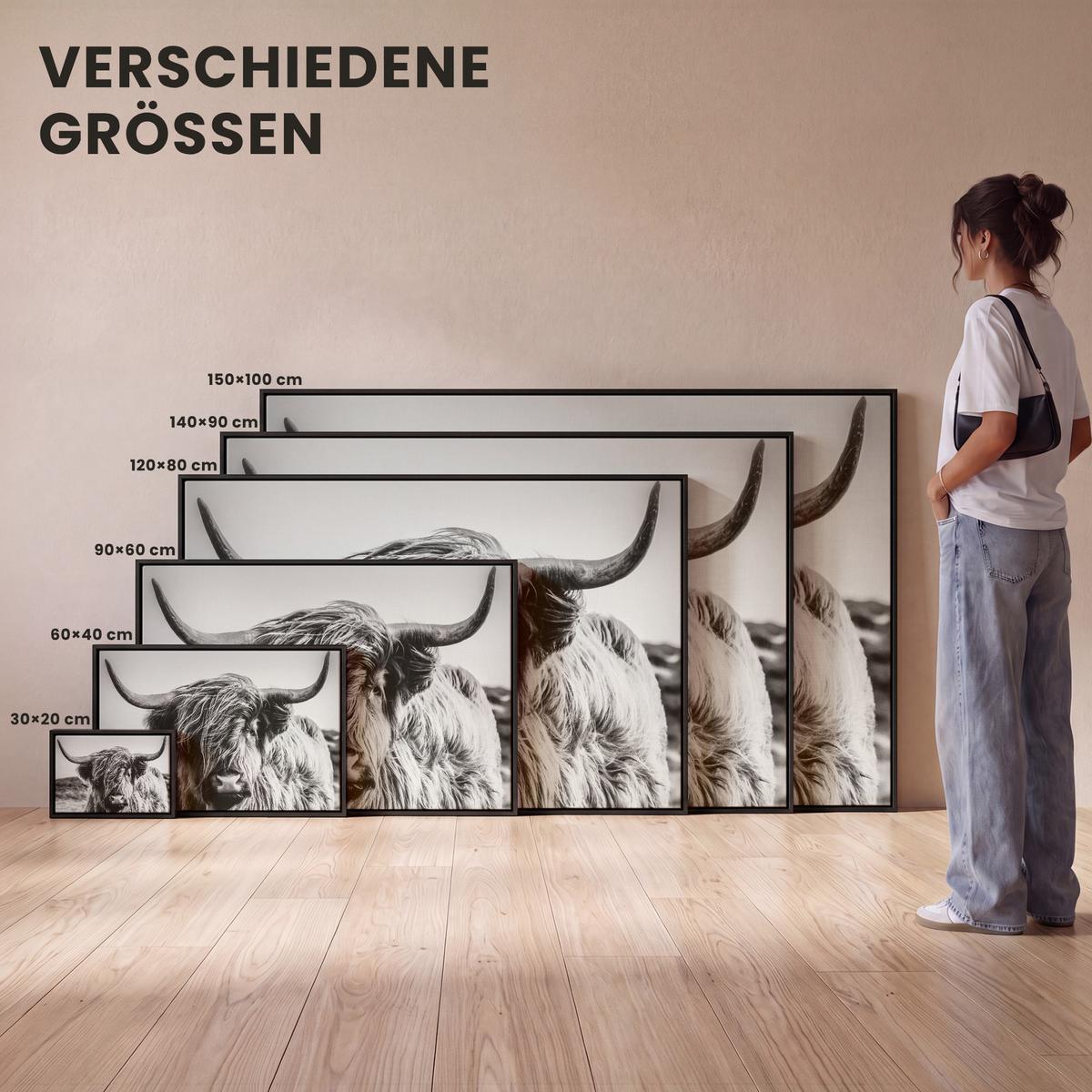 LEINWAND Bilder mit Rahmen - Kuh - Schottischer Hochländer - Schwarz - Weiß - Tier - Natur - Wildtiere - 90x60 - Schwarz, Textil (90/60cm) - MuchoWow