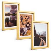 BILDER SET 3er Set - 20x30 cm Goldrahmen - Berglandschaften mit Rentieren - Goldfarben, Kunststoff (20/30cm) - TULUP