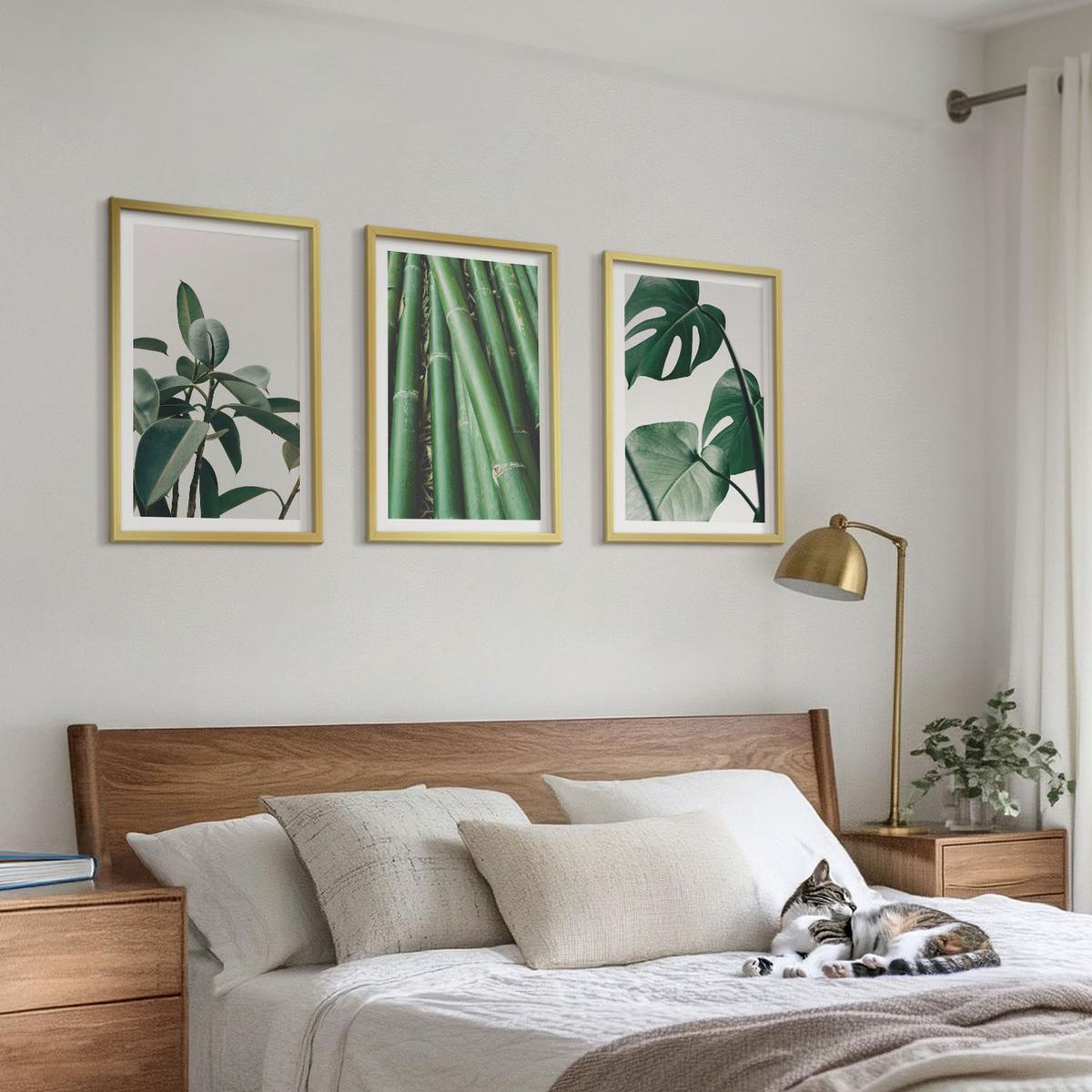 BILDER SET 3er Set - 40x60 cm Goldrahmen - Bambusstängel und Monstera-Blätter - Goldfarben, Kunststoff (40/60cm) - TULUP