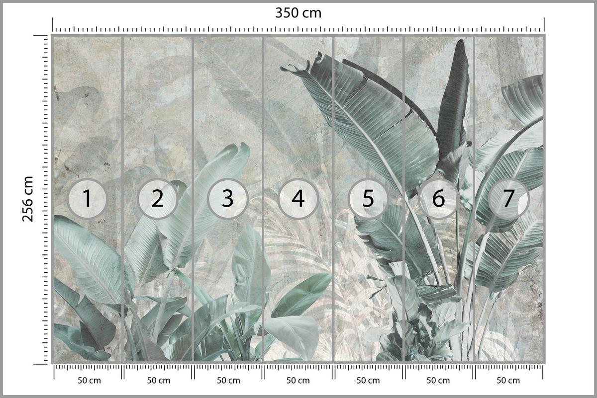 FOTOTAPETE für Küche Beton Bananenblätter Abstrakt Pflanzen Vintage 350x256 - Beige/Grau, Papier (350/256cm) - Muralo