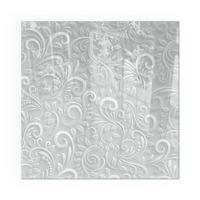 GLASPLATTE für Kamin 50x50 cm - Grau, Glas (50/50/0.4cm) - TULUP