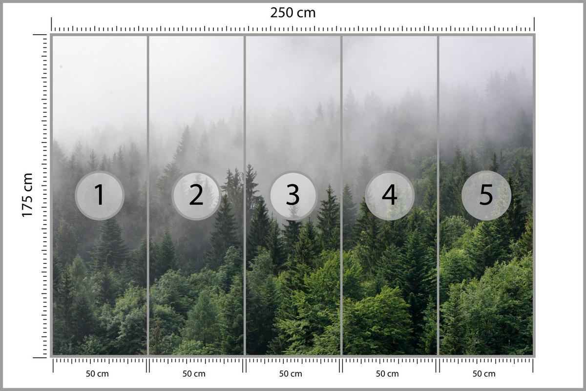 FOTOTAPETE für Wohnzimmer Nadelbäume Nebelwald Grün 250x175 - Grau/Grün, Papier (250/175cm) - Muralo