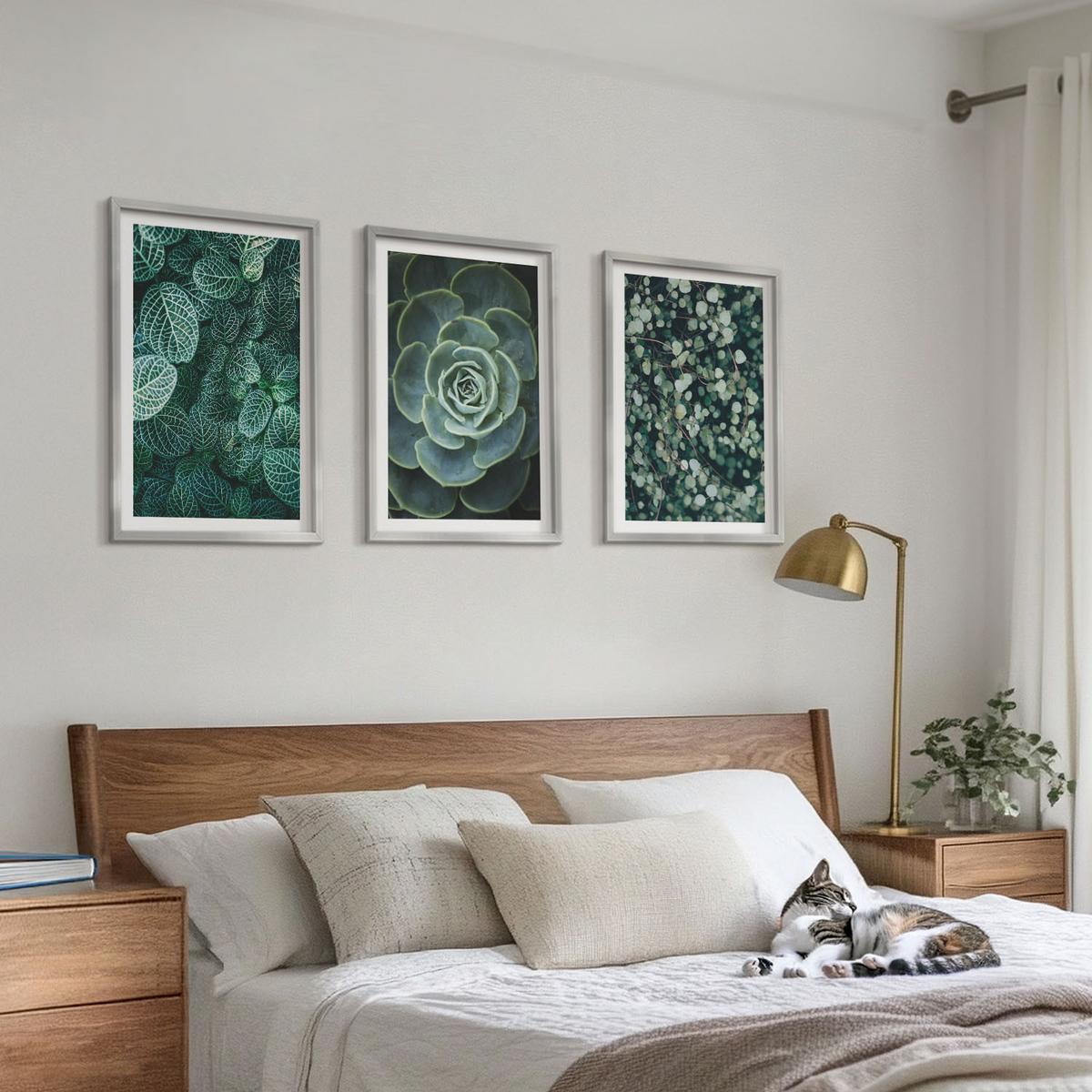 BILDER SET 3er Set - 40x60 cm Silberner Rahmen - Sukkulenten - Silberfarben, Kunststoff (40/60cm) - TULUP