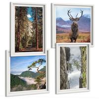 BILDER SET 4er Set - 50x50 cm & 40x60 cm Weißer Rahmen - Straße Wald Berge Hirsch Natur - Weiß, Kunststoff (50/50cm) - TULUP
