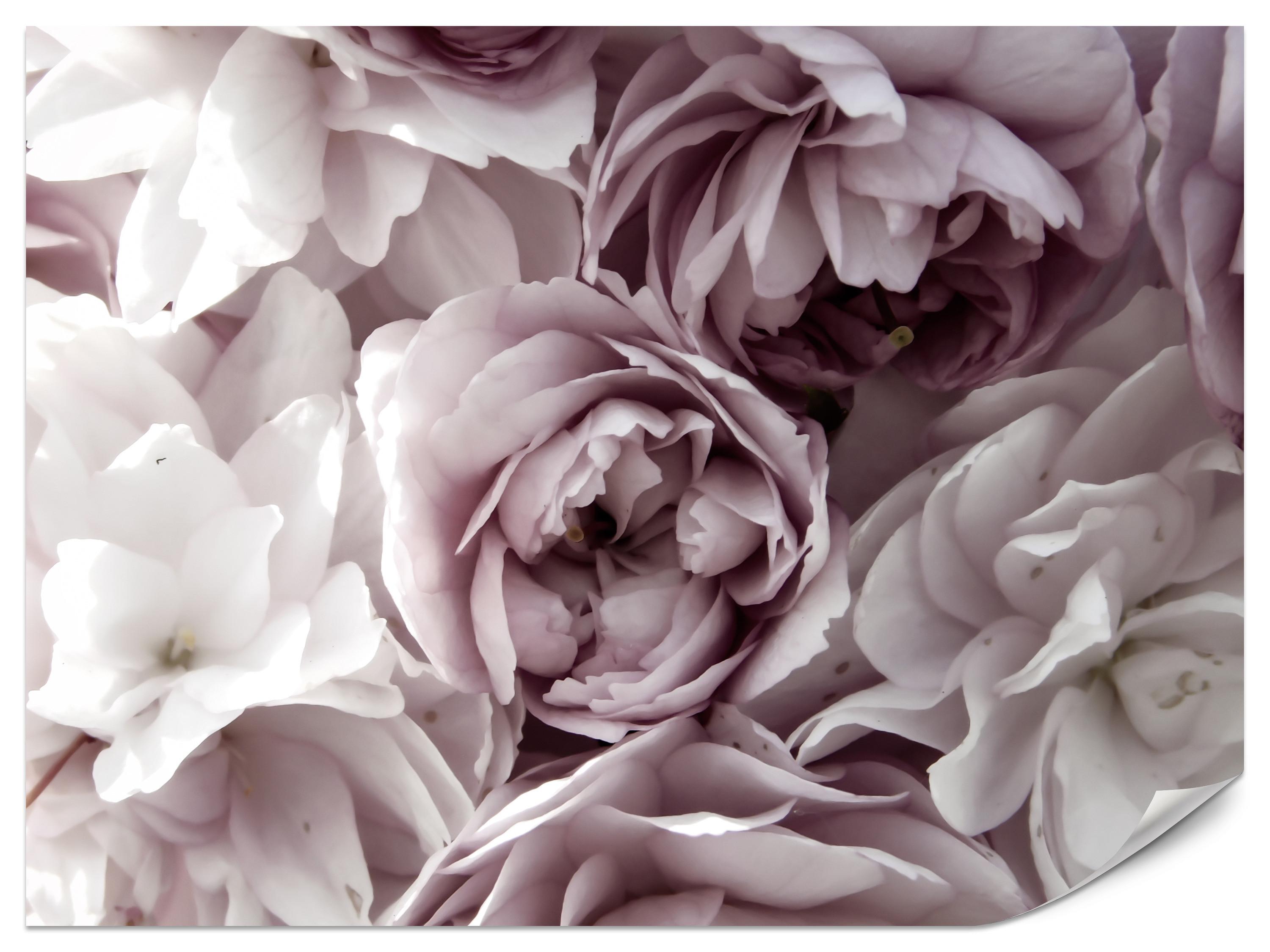 FOTOTAPETE für Badezimmer Pastell Pfingstrosen Blumen 500x350 - Beige/Violett, Papier (500/350cm) - Muralo