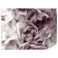 FOTOTAPETE für Badezimmer Pastell Pfingstrosen Blumen 500x350 - Beige/Violett, Papier (500/350cm) - Muralo