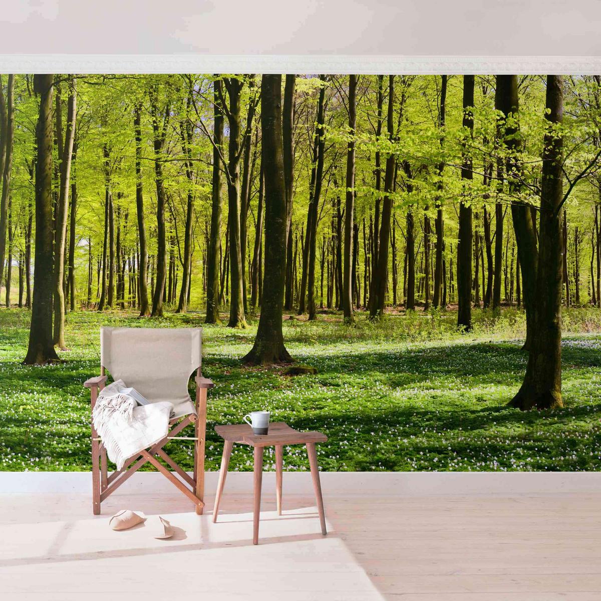 FOTOTAPETE Waldwiese 288/190 cm - Grün, Papier (288/190cm) - Bilderwelten