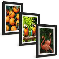 BILDER SET 3er Set - 20x30 cm Schwarzer Rahmen - Fruchtige Akzente in den Tropen - Schwarz, Kunststoff (20/30cm) - TULUP