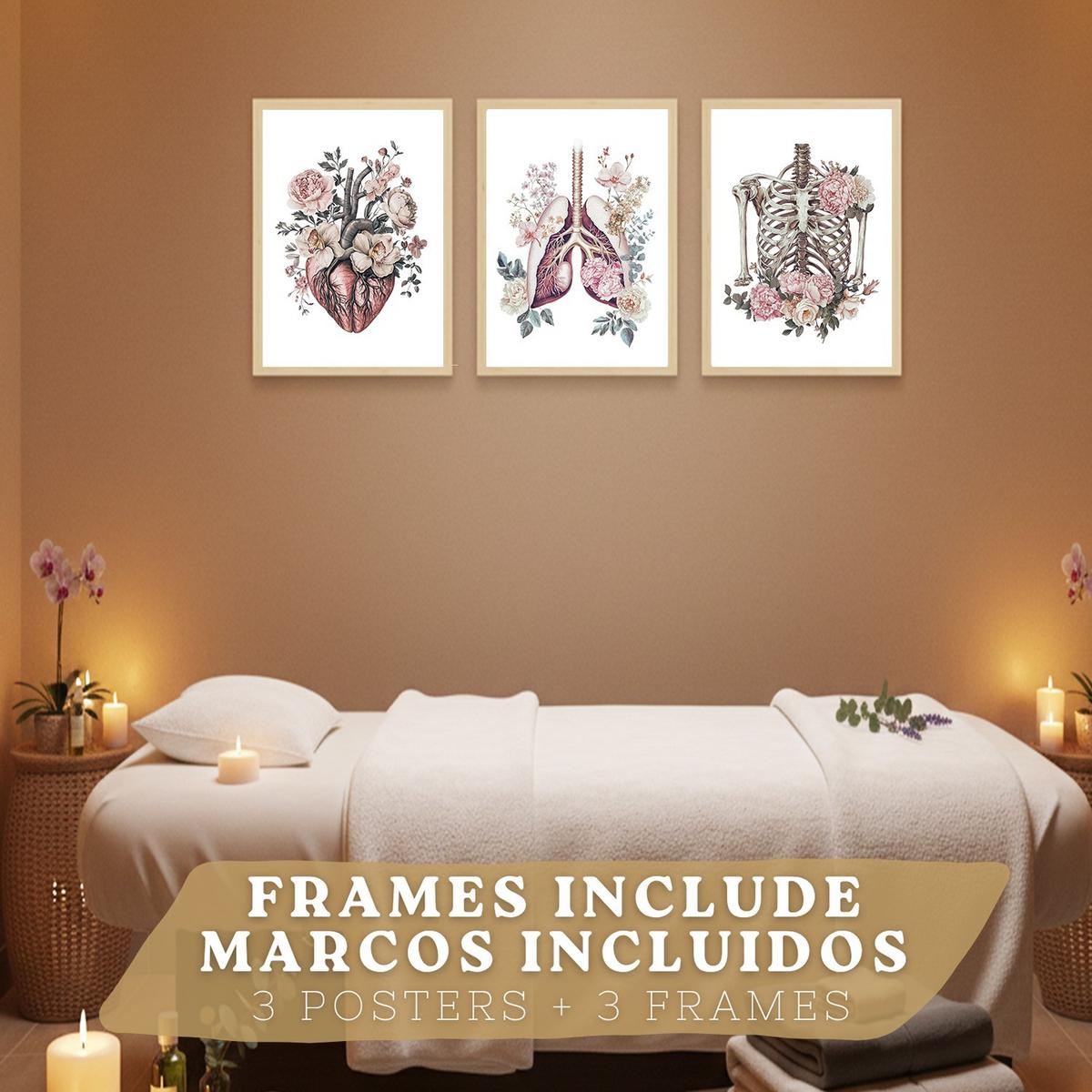 POSTER Set aus 3 Anatomie Florale Drucke und Wandbilder mit Herz Brustkorb und Lungen Detaillierter Illustrationsstil Größe Leichter Holzrahmen A3 - Beige, Papier (29.7/42/3cm) - Nacnic