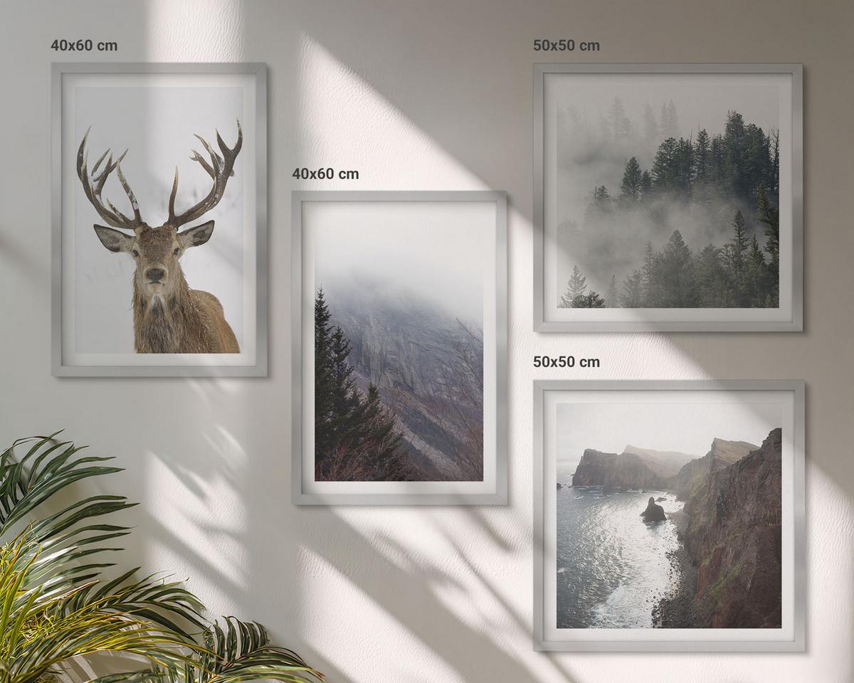 BILDER SET 4er Set - 50x50 cm & 40x60 cm Silberner Rahmen - Berglandschaft Nebel Hirsch - Silberfarben, Kunststoff (50/50cm) - TULUP