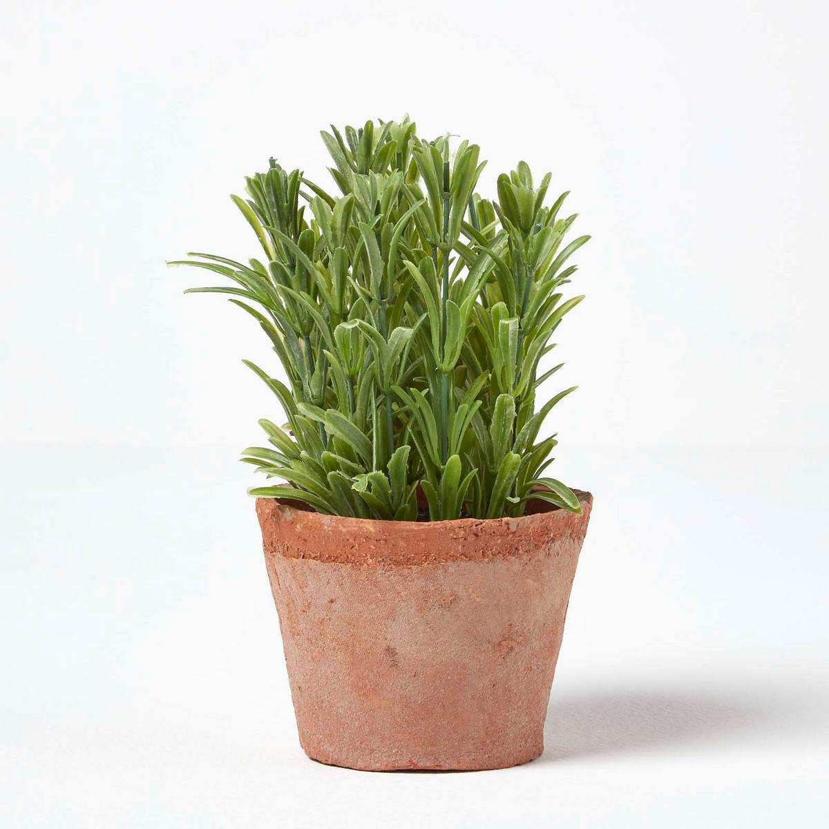KUNSTPFLANZE Rosmarin im Terrakotta-Topf, 18 cm - Grün, Kunststoff (18cm) - Homescapes