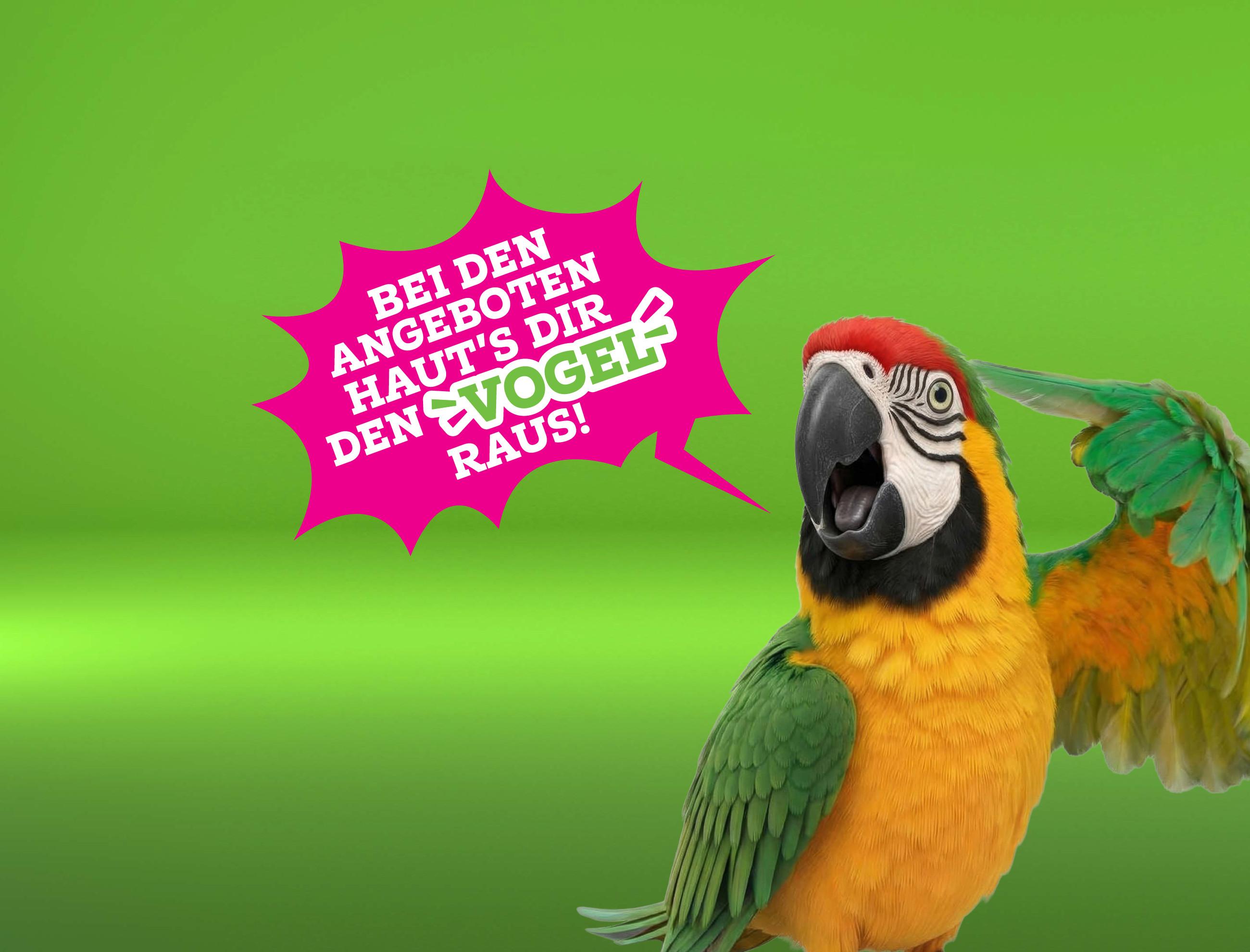 Da haut's dir den Vogel raus! 