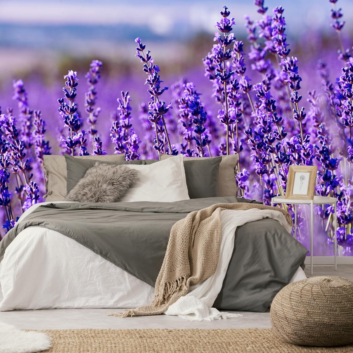 FOTOTAPETE für Schlafzimmer Lavendelfeld Blüten Provence 150x105 - Violett, Papier (150/105cm) - Muralo