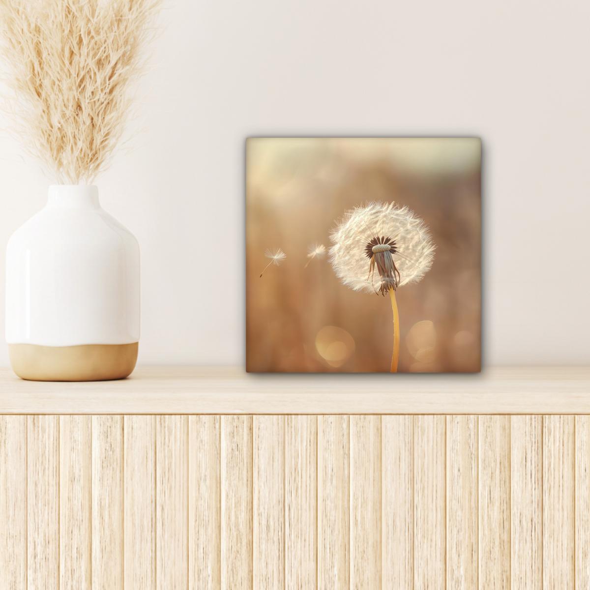 LEINWANDBILD Löwenzahn - Beige - Natur - Blume Deko Wohnzimmer 20x20 cm - Hellbraun, Textil (20/20cm) - MuchoWow