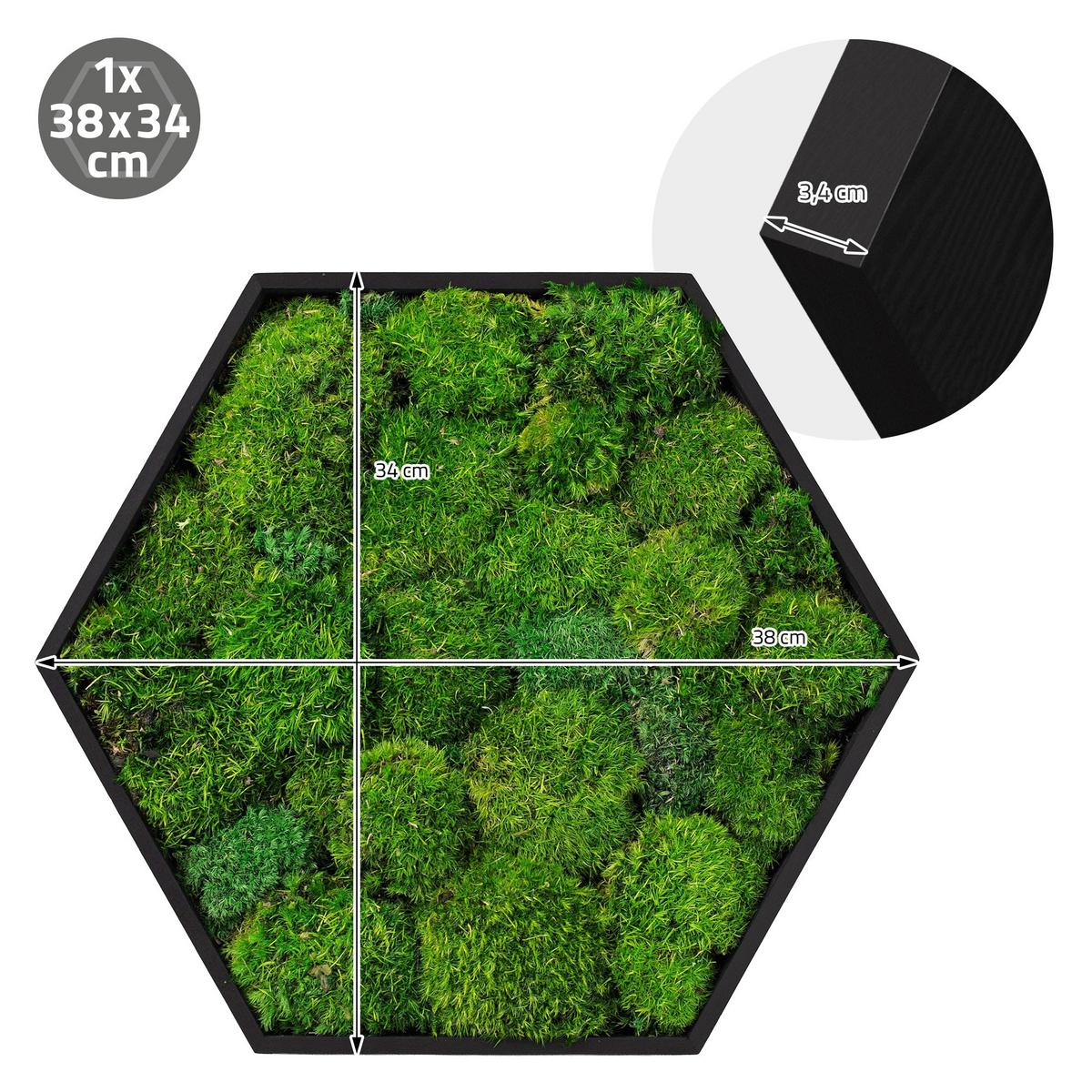 MOOSBILD Hexagon 38x34 cm Mooswand Indoor mit echtem Kugelmoos und Holzrahmen Grün Pflegefrei - Grün, Naturmaterialien (38/34/3.4cm) - ECD-Germany
