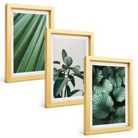 BILDER SET 3er Set - 20x30 cm Goldrahmen - Ästhetische tropische Blätter - Goldfarben, Kunststoff (20/30cm) - TULUP